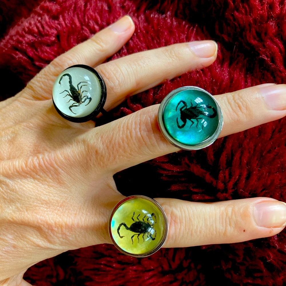 Real scorpion specimen ring on stainless steel adjustable Scorpio black scorpion